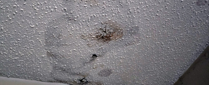 roof leak south kansas city