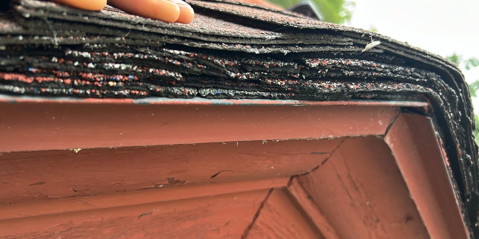 layered Asphalt Shingles